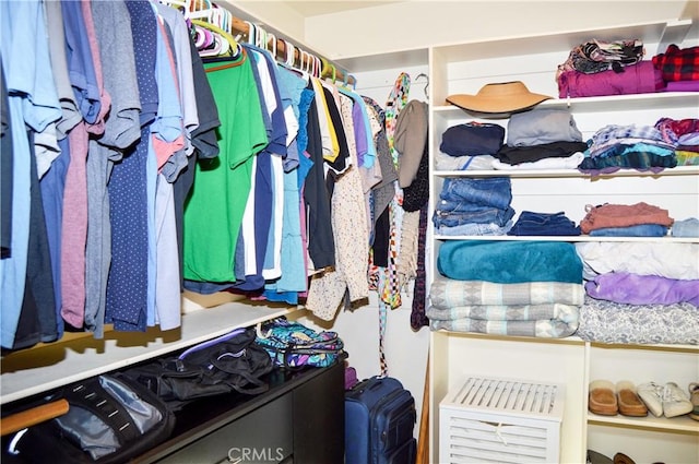 view of spacious closet