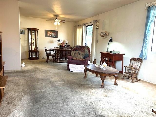 living area with ceiling fan and carpet