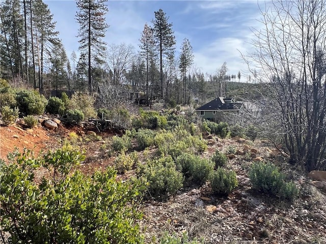 16070 Pine St, Cobb CA, 95426 land for sale