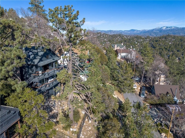 birds eye view of property featuring a mountain view