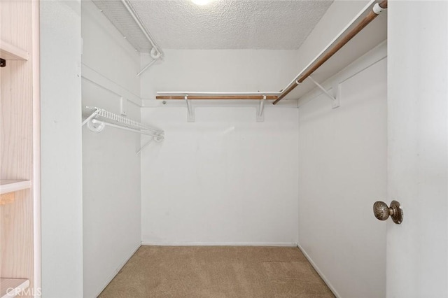 walk in closet with light colored carpet