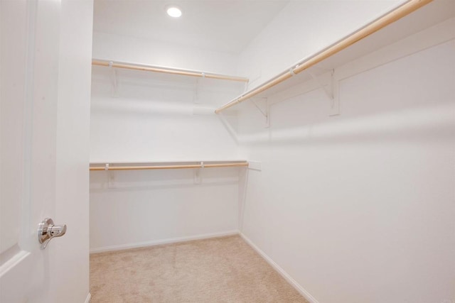 spacious closet featuring light carpet