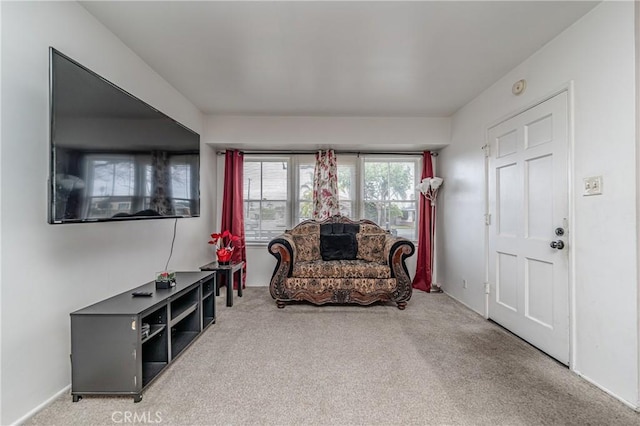 living area featuring carpet floors