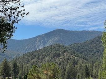 Listing photo 3 for 2608 Beechwood Way, Pine Mountain Club CA 93222