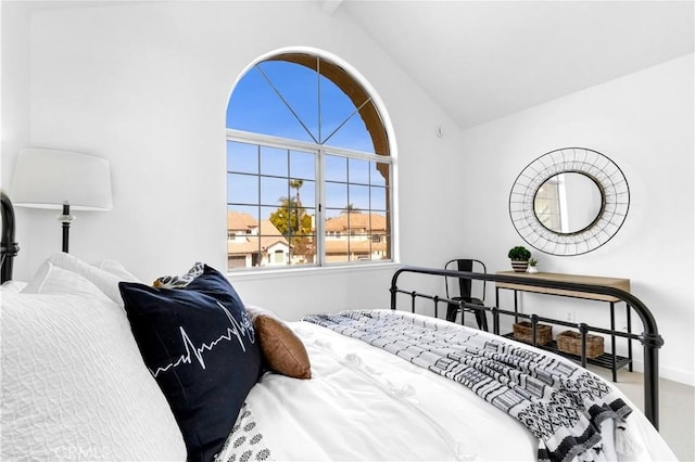 bedroom with lofted ceiling