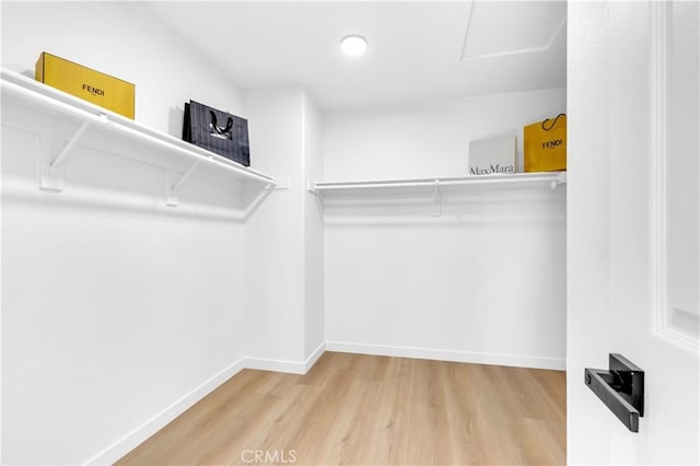 spacious closet featuring wood finished floors