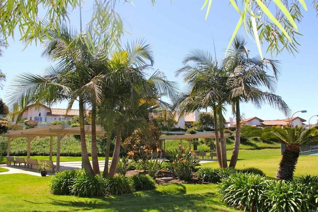 view of community featuring a pergola and a lawn