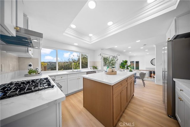 kitchen featuring white cabinetry, stainless steel appliances, a center island, light stone countertops, and a tray ceiling