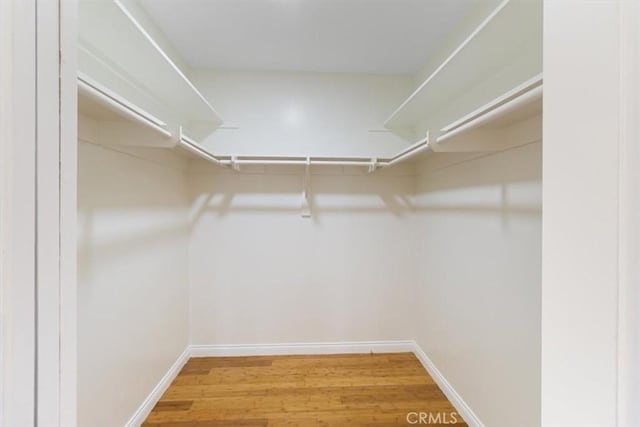 walk in closet featuring wood finished floors
