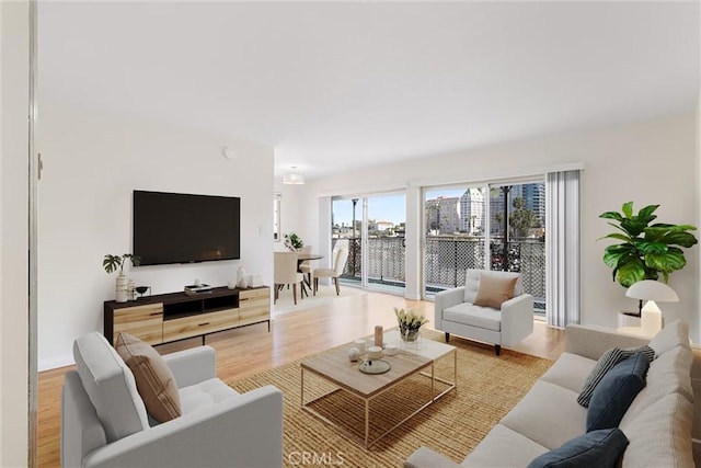 living room featuring wood finished floors