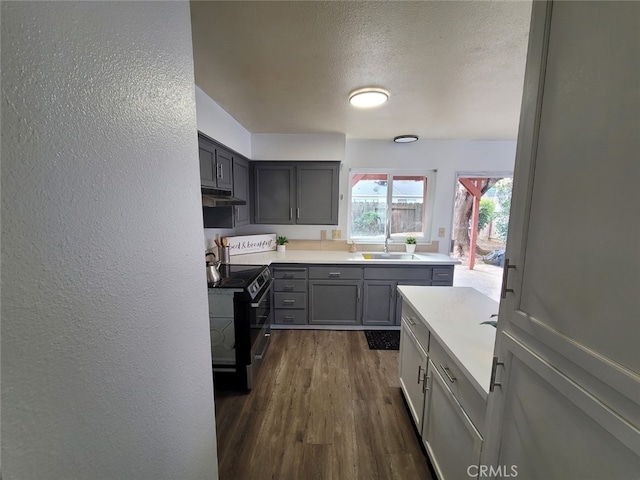 kitchen with gray cabinets, black electric range oven, sink, dark hardwood / wood-style flooring, and a textured ceiling