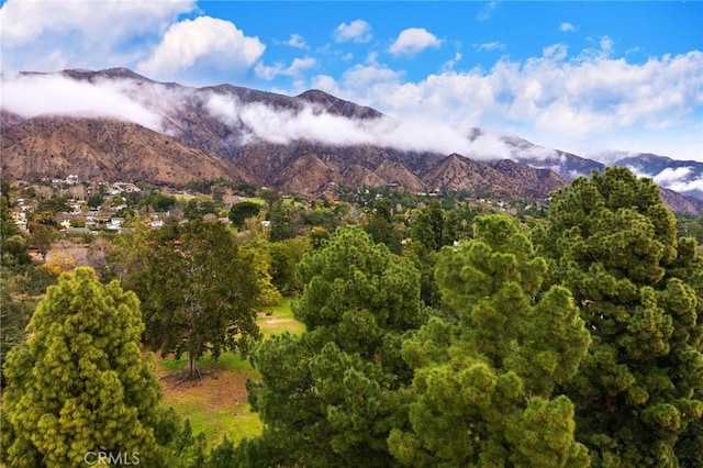 property view of mountains