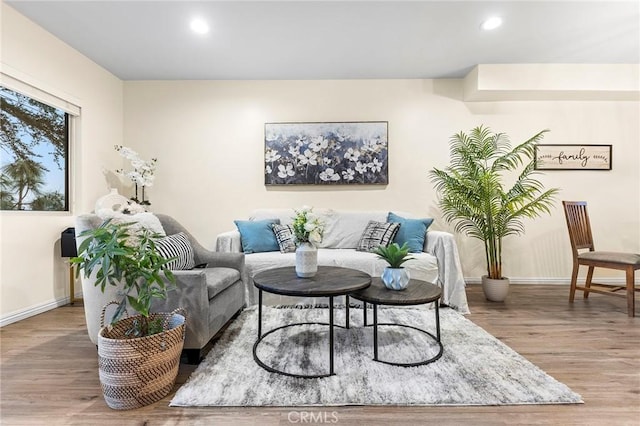 living room with light hardwood / wood-style floors