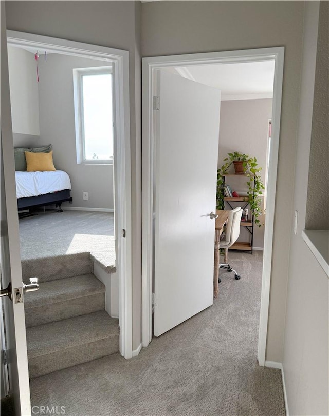 hallway with carpet and baseboards