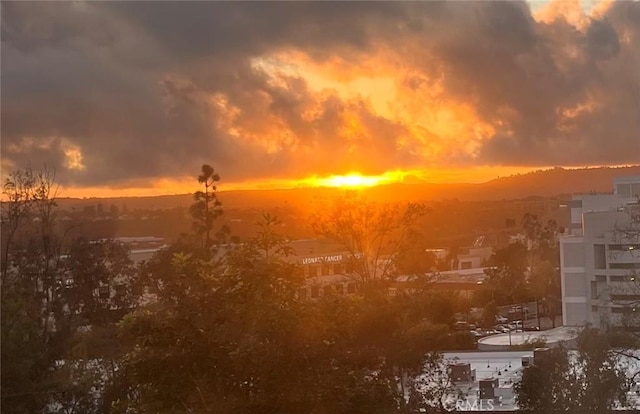 view of nature at dusk