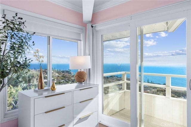 entryway with a water view, plenty of natural light, a view of the beach, and crown molding