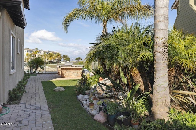 view of yard with a patio and exterior kitchen