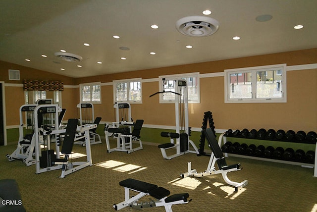 exercise room with a healthy amount of sunlight and lofted ceiling