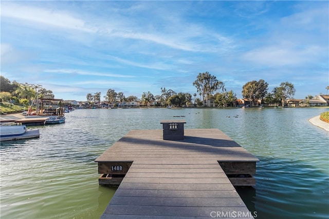 dock area with a water view