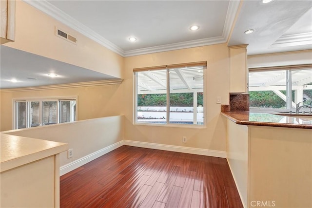 interior space featuring plenty of natural light, crown molding, and dark hardwood / wood-style floors