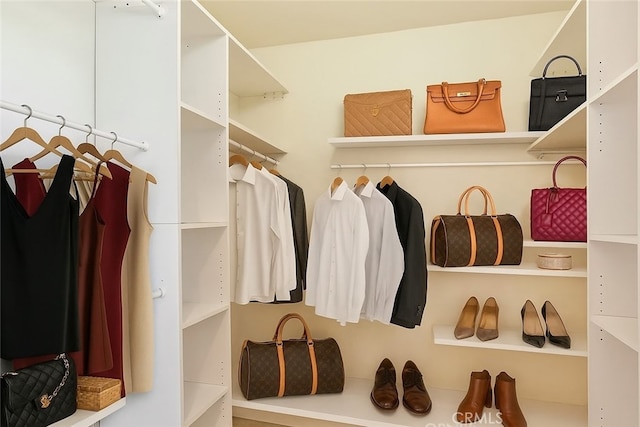 1885 Fallview Rd, Westlake Village, CA 91361 - view of spacious closet