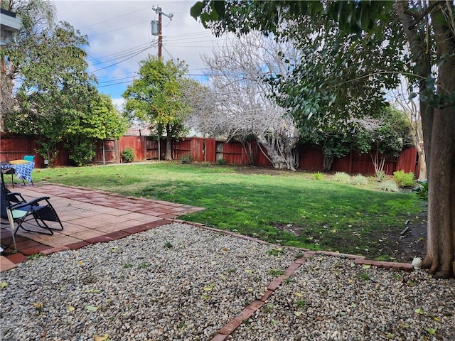 view of yard with a patio