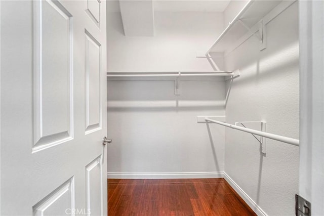 spacious closet featuring wood finished floors