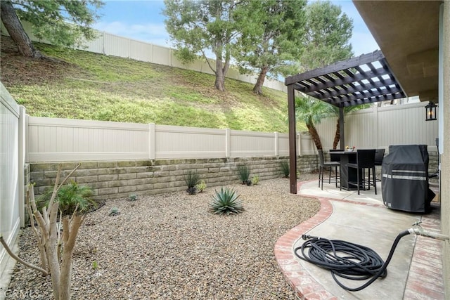 view of yard with a patio area, a fenced backyard, and a pergola