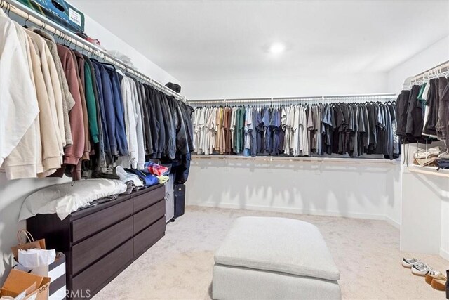 spacious closet featuring carpet flooring