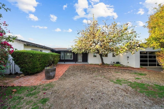 back of property featuring a patio and stucco siding