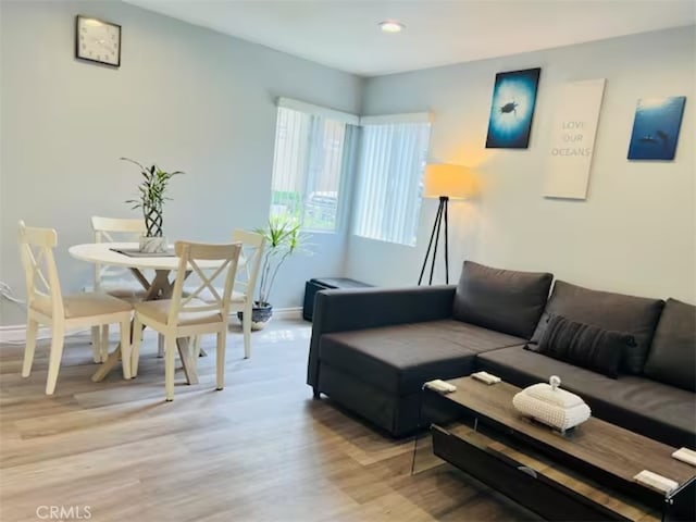 living room featuring light hardwood / wood-style floors