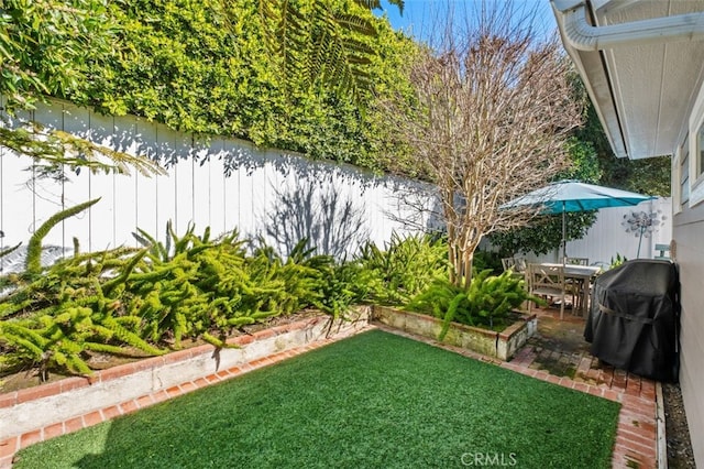 view of yard with a fenced backyard and a patio