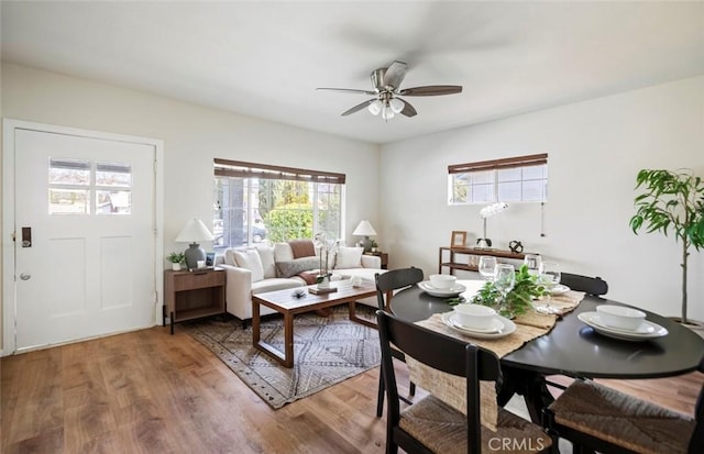 dining space featuring hardwood / wood-style floors and ceiling fan