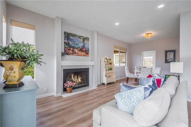 living room featuring light wood-type flooring