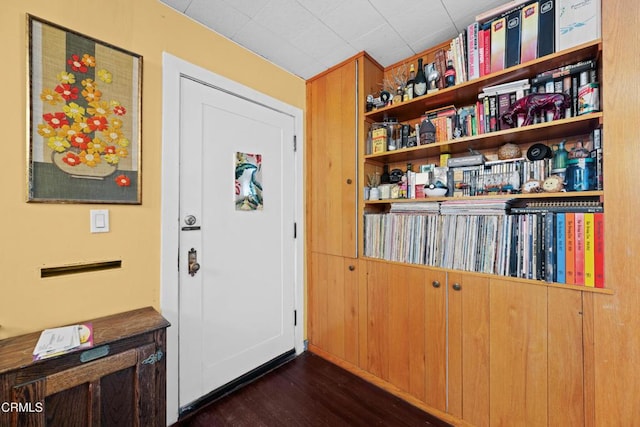 foyer entrance featuring dark hardwood / wood-style floors