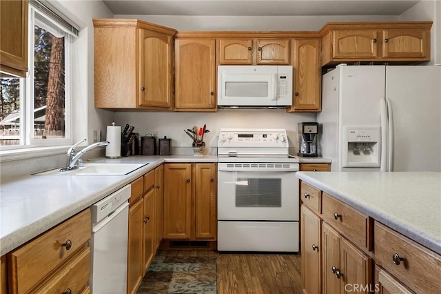 kitchen with a healthy amount of sunlight, white appliances, light countertops, and a sink