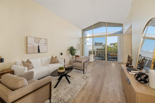 living room with light hardwood / wood-style flooring and high vaulted ceiling