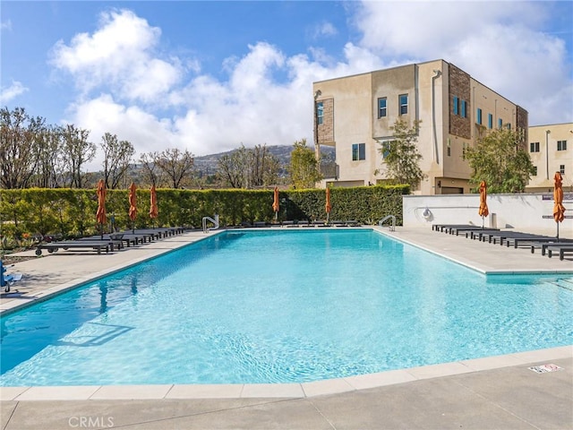 pool featuring a patio area