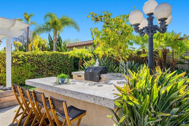 view of patio / terrace featuring a grill and exterior bar