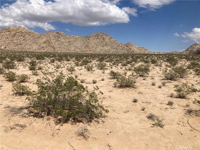 4500713 Wren, Lucerne Valley, CA 92356
