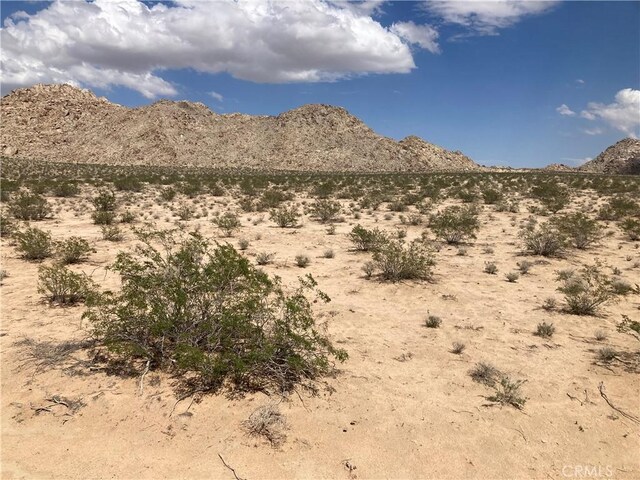 4500713 Wren, Lucerne Valley CA, 92356 land for sale