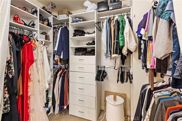 view of spacious closet