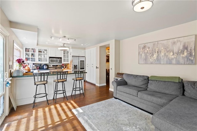 living room featuring baseboards and dark wood-style flooring