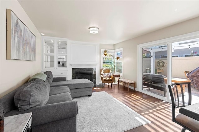 living room with a fireplace and wood finished floors