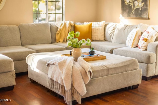 living room featuring wood finished floors