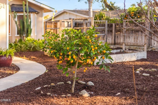 view of yard featuring fence and a vegetable garden