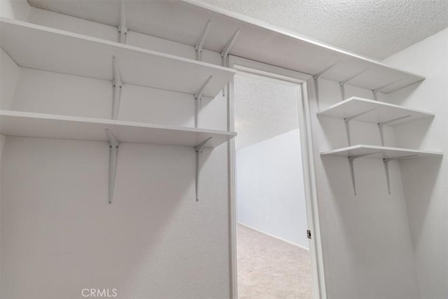 walk in closet with carpet