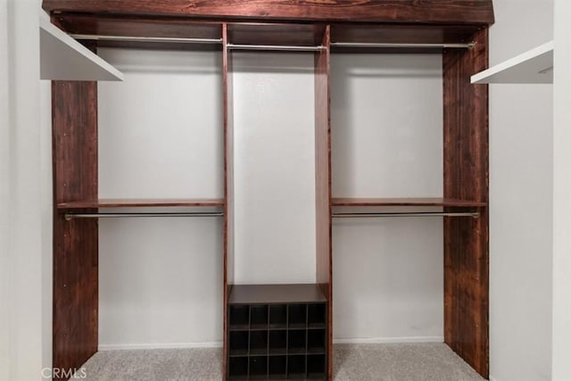 spacious closet featuring light colored carpet