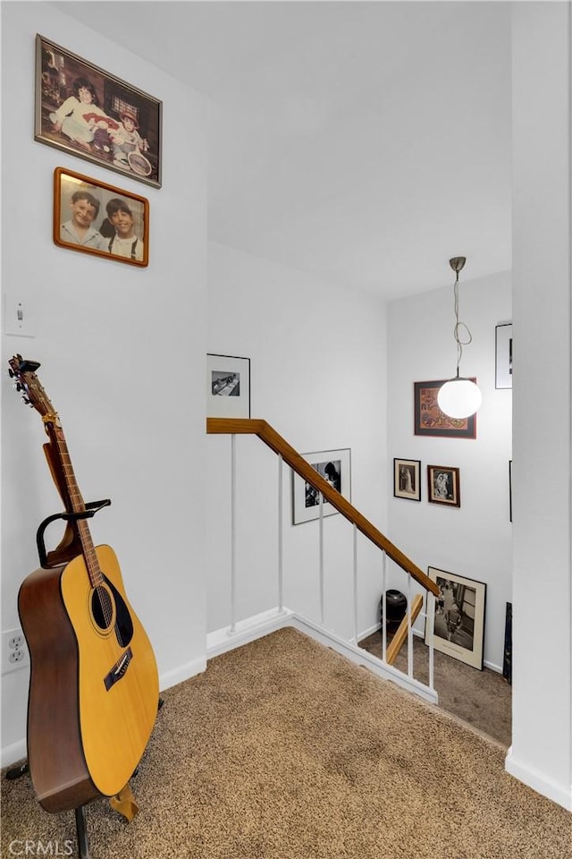 staircase featuring carpet floors