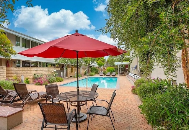 view of swimming pool featuring a patio